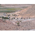 Terreno De 5.000 M2. Sector Los Algodones