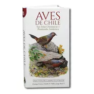 Libro Aves De Chile - Guía De Campo Ilustrada