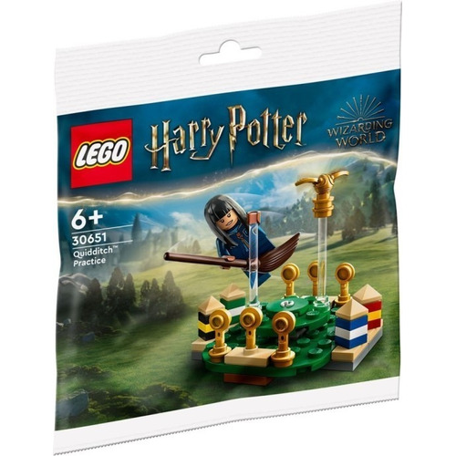 Lego Harry Potter Practica De Quidditch 30651 -55 Pz Polybag