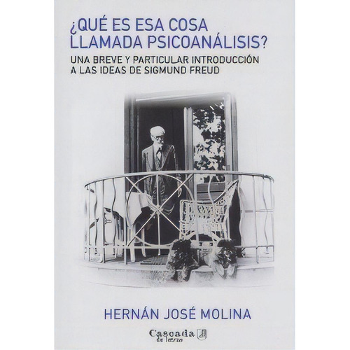 Que Es Esa Cosa Llamada Psicoanalisis Una Breve Y Particula, De Hernan Jose Molina. Editorial Cascada De Letras En Español