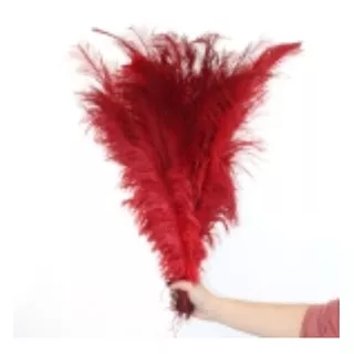 Plumas Colorida Penas De Avestruz Artesanato Para Decoração Cor Vermelho