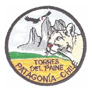 Parche Patagonia-chile Torres Del Paine Puma 