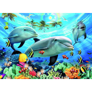 Pelicula Adesivo Para Box Golfinhos Peixes Mar 2x2 Mts