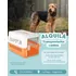 Alquiler De Transportador Canino