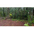 Parcela 5.000m2 | Sector Puquereo | Eje Freire-villarrica