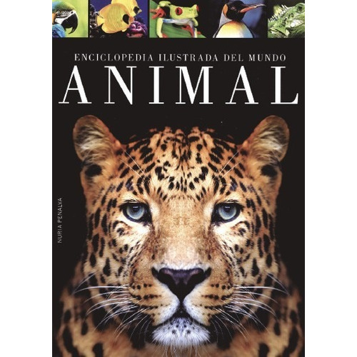 Enciclopedia Ilustrada Del Mundo Animal - Nuria Penalva