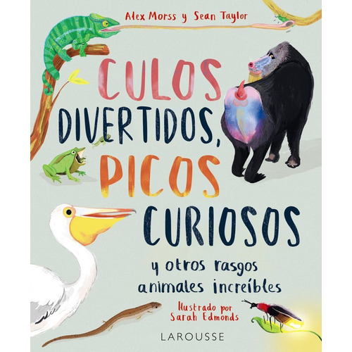 Culos Divertidos, Picos Curiosos, De Morss, Alex. Editorial Larousse, Tapa Dura En Español