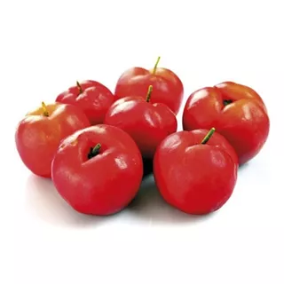 Muda De Acerola Produzindo Altura 1,0 M A 1,5 M