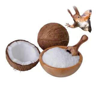 Harina De Coco Premium | 10 Kilos |