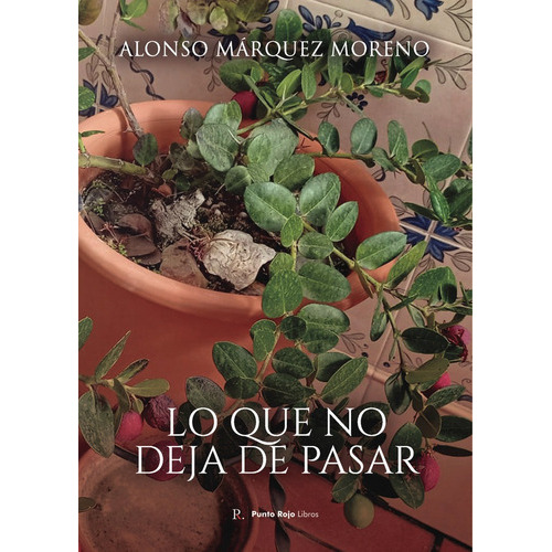 Lo Que No Deja Deja De Pasar, De Márquez Moreno, Alonso. Editorial Punto Rojo Editorial, Tapa Blanda En Español