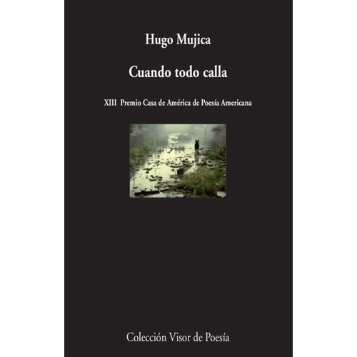 Cuando Todo Calla, Hugo Mujica, Visor