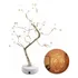 Arbol con Perlas