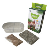 Kit De Siembra Michiko Hierba Para Gatos X 140gr