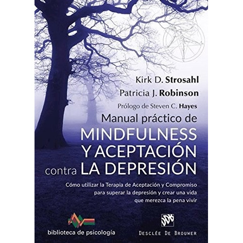 Manual Practico De Mindfulness - Strosahl - Desclee - Libro