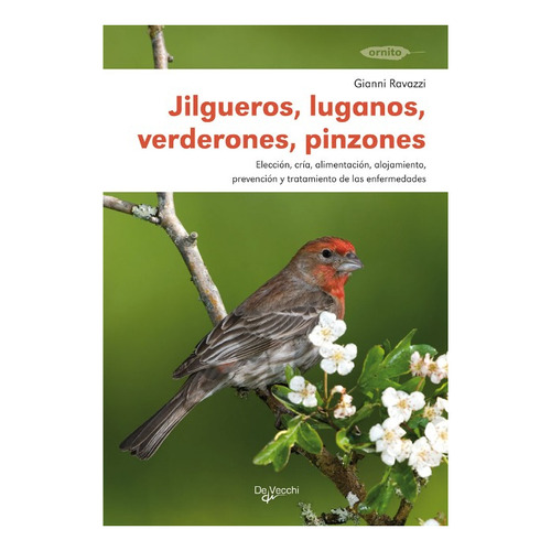 Libro. Jilgueros, Luganos, Verderones, Pinzones - Animales