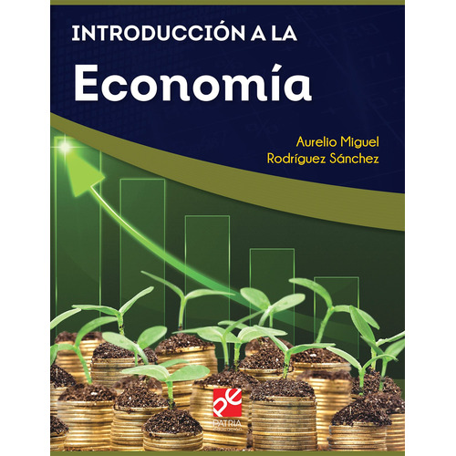 Introducción a la economía, de Rodríguez Sánchez, Aurelio Miguel. Editorial Patria Educación, tapa blanda en español, 2020