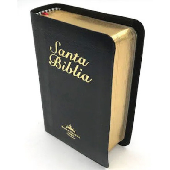 Biblia De Bolsillo Reina Valera 1960 Negra Filo Dorado