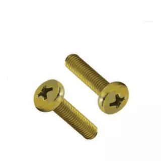 Parafuso Cabeça Panela Phillips M2 X 10 Mm - 100 Peças