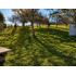 Parcela Con Casa En Venta En Montemar / Quemchi
