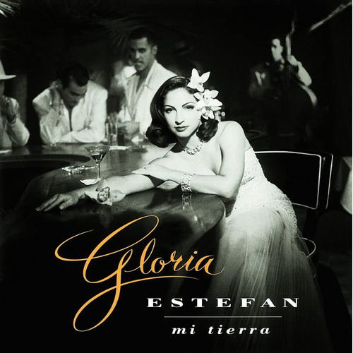 Gloria Estefan Mi Tierra Lp Vinilo180grs.imp.nuevo En Stock