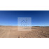 Se Arrienda Terreno De 5000 M² En Sector De La Negra