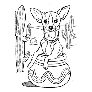 Lienzo Perro Chihuahua Para Pintar Con Bastidor Y Pinturas 