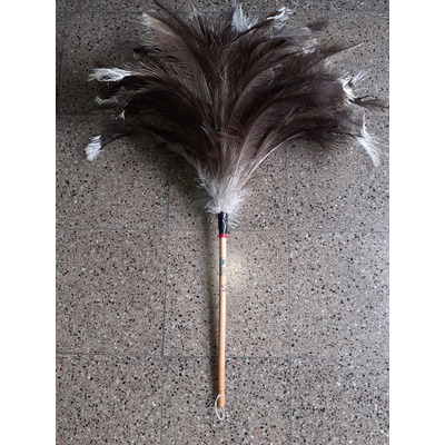 Plumero De Plumas Grande N 54 