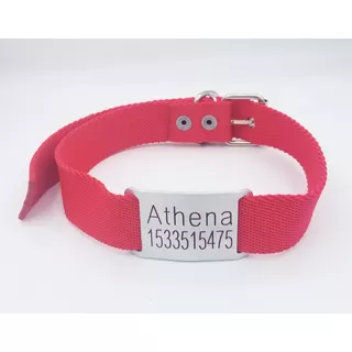 Chapita Para Perro Pasador Grande (modelo 29) + Collar Rojo