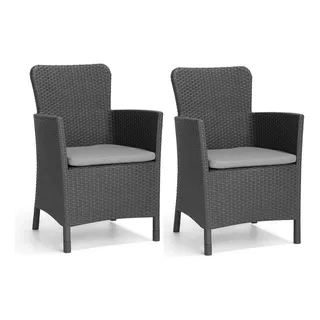 Silla Jardin Sillones Living Exterior Juego X 2 Rattan Impo