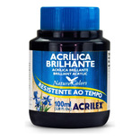 Tinta Acrilica Brilhante 100ml - Cores Cor Preto 520