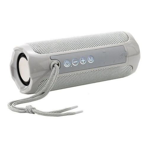 Parlante Portátil Bluetooth Usb 10w Plateado Tienda