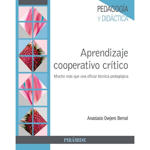 Aprendizaje Cooperativo Crãâtico, De Ovejero Bernal, Anastasio. Editorial Ediciones Pirámide, Tapa Blanda En Español