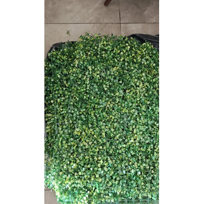 Foto del comprador