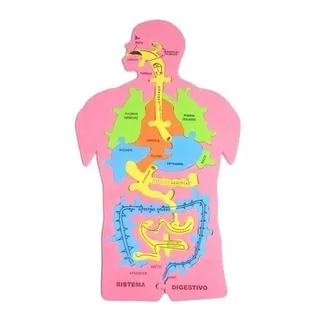 Rompecabeza Educativo Sist. Digestivo Cuerpo Humano