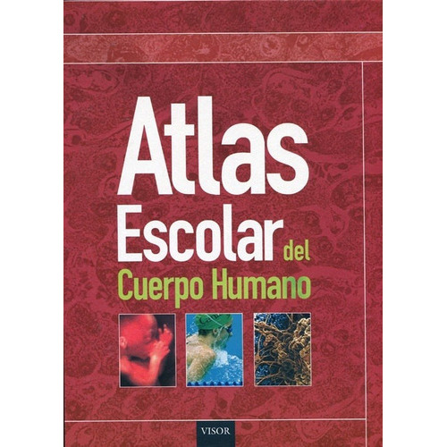 Atlas Escolar Del Cuerpo Humano, de VV. AA.. Editorial Visor en español