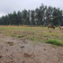 Terreno Construccion  En Venta En San Fernando