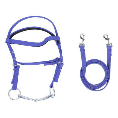 Brida Ajustable Con Cuerda Elástica Para Caballos, De Nailon