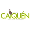 development-logo