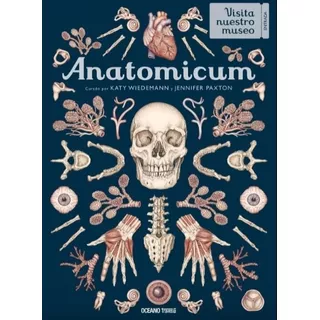 Anatomicum - Visita Y Explora Cada Rincon Del Cuerpo Humano