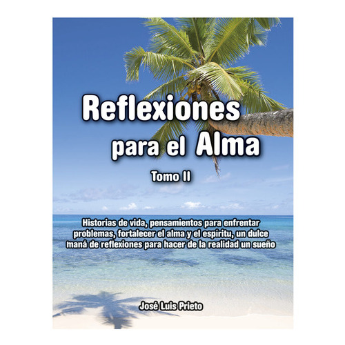 Reflexiones Para El Alma Tomo 2 - José Luis Prieto, De José Luis Prieto., Vol. 2. Editorial Reflexiones Para El Alma, Tapa Blanda En Español, 2016