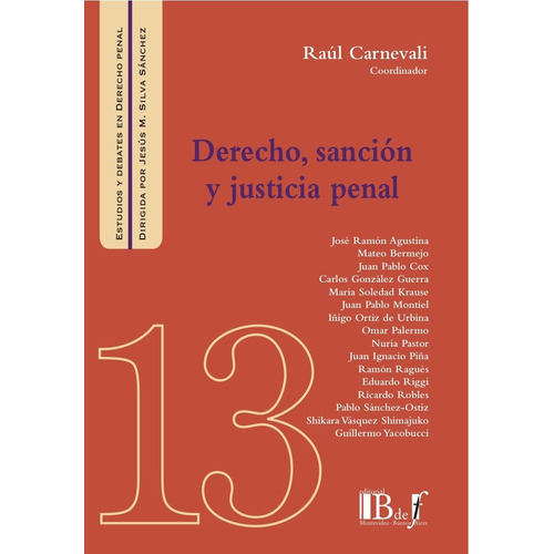 Derecho, Sancion Y Justicia Penal - Carnevali, Raul (coordin