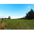 Parcela En Venta Sector Runca Valdivia