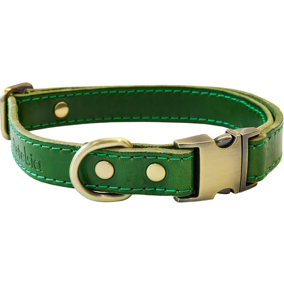 Collar De Cuero Para Perros Ajustable Y Resistente Color Verde Tamaño Del Collar Chico