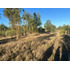 Parcela En Venta En Algarrobo