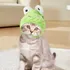 Sombrero De Rana Gato Sombreros Para Perros Y Gatos Sombrero