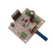 Mini Amplificador Mono De 20 Watts 12 V C/vol - Audioproject