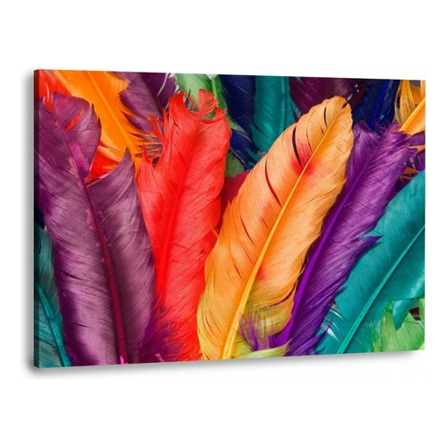 Canvas | Mega Cuadro Decorativo | Plumas Colores | 140x90