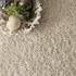 Nuloom Neva Plush Shag Area Rug, 3' X 5', Beige