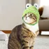 Sombrero De Rana Gato Sombreros Para Perros Y Gatos Sombrero