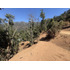 Se Vende Parcela De 5000 M2 Con Esplendida Vista